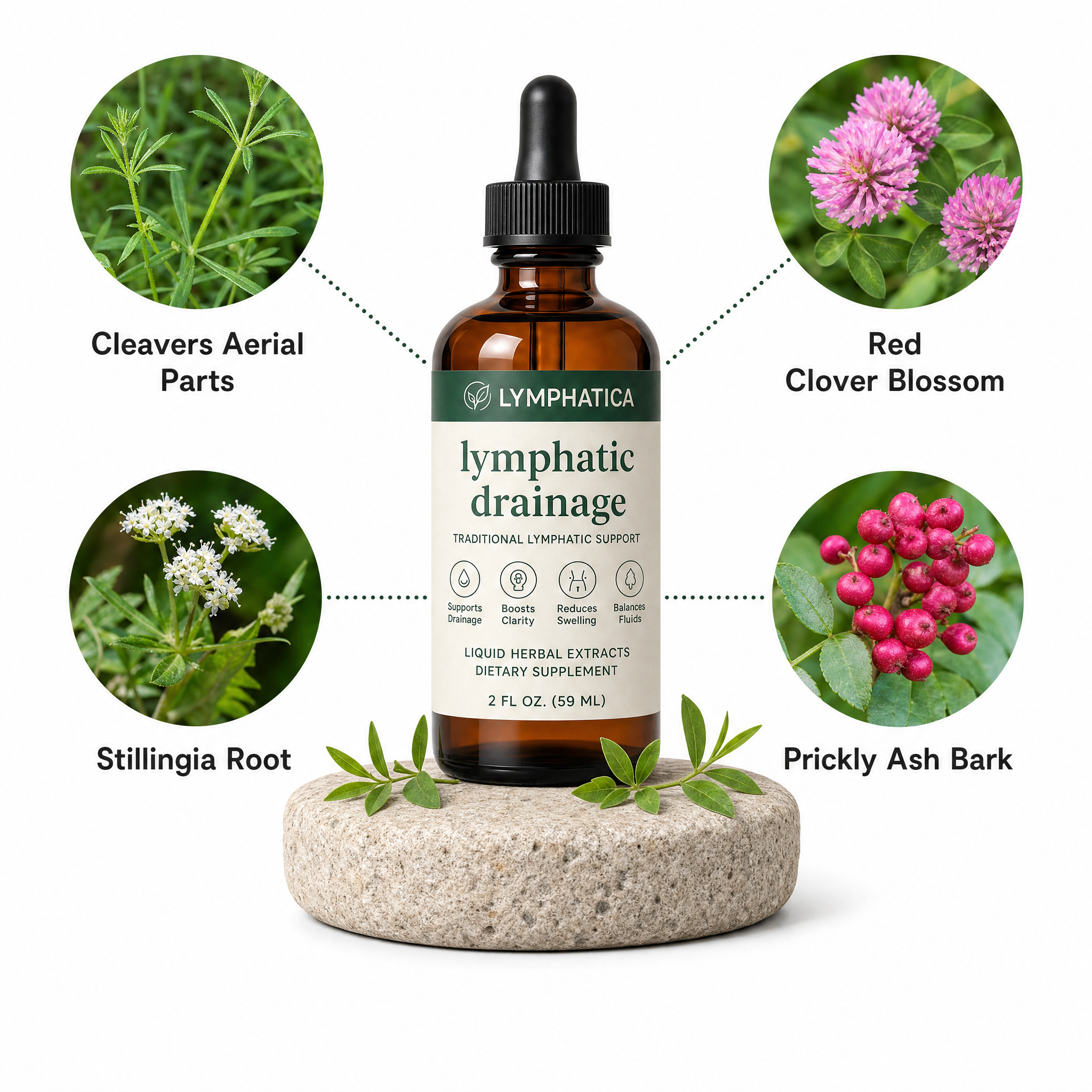 Powered by Nature. Backed by Botanicals.