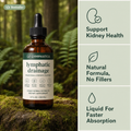 Lymphatica® Lymphatic Drainage Drops