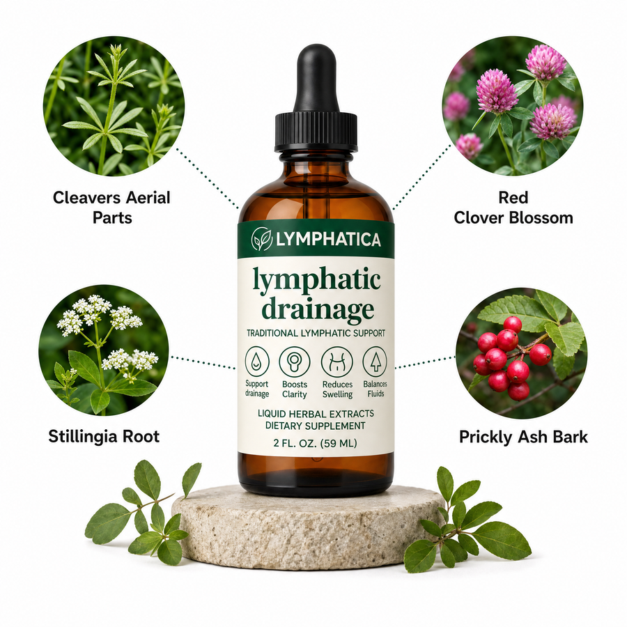 Lymphatica lymphatic drainage drops featuring natural herbal ingredients including burdock root, elderberry, dandelion leaf and calendula flower to support healthy lymphatic flow and daily wellness.