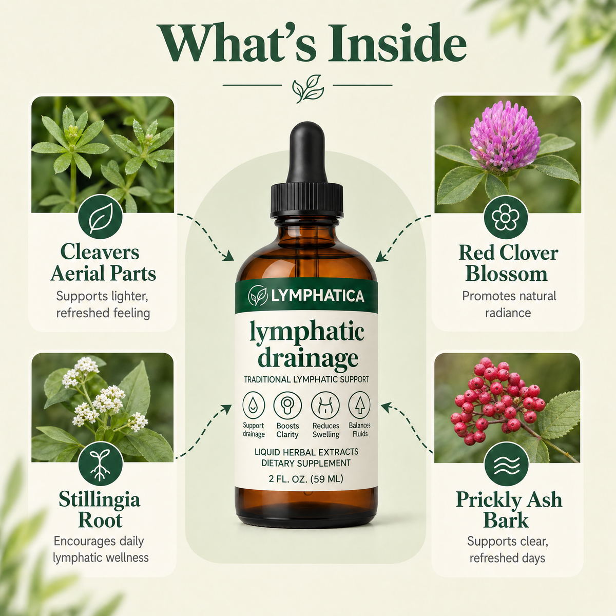 Lymphatica® Lymphatic Drainage Drops