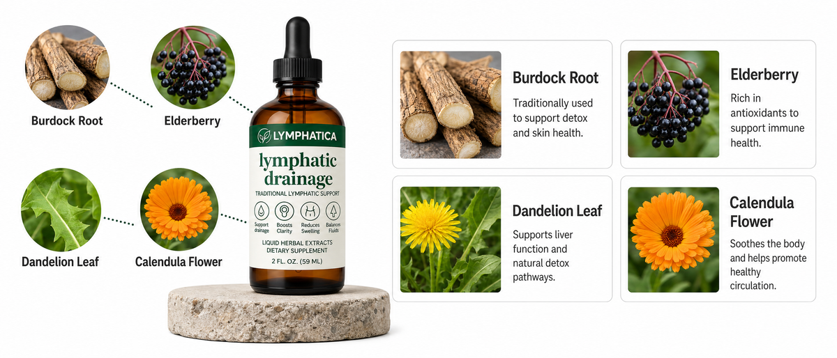 Lymphatica lymphatic drainage drops featuring natural herbal ingredients including burdock root, elderberry, dandelion leaf and calendula flower to support healthy lymphatic flow and daily wellness.