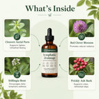 Lymphatica® Lymphatic Drainage Drops